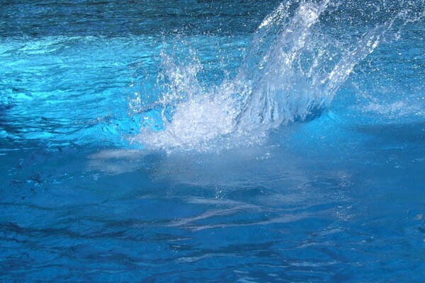 Poseidon